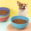 Slow Feeder Dog & Cat Lick Bowl (Blue) - Anxiety Relief
