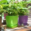 10 PCS Imitation Wooden Barrel Plastic Resin Flower Pot with Tray, Top Diameter: 16cm, Height: 13.5cm(White)