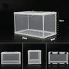 Aquarium Fish Breeding Isolation Box | Large | Fry Incubator