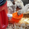 Automatic Chicken Waterer Cups Chicken Water Feeder Random Color