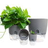 Transparent Plastic Double-Layer Water Storage Automatic Water-Absorbing Flowerpot, Size: A709 Caliber 23.5cm(White Transparent Basin)