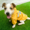 Foldable Dog Raincoat, Waterproof, Reflective, Hooded, Medium, Fluorescent Yellow