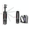 BEXIN BX285C K36 Portable Carbon Fiber Tripod for Dslr Digital DV Camcorder