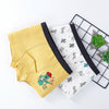 170 Yards 2pcs Boys Cartoon Cotton Boxer Antibacterial Boxer(ND412)