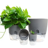 Transparent Plastic Double-Layer Water Storage Automatic Water-Absorbing Flowerpot, Size: A707 Caliber 15.3cm(White Transparent Basin)