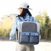 Breathable Cat Backpack, Grey, Foldable, Portable Pet Carrier Bag