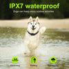 T15 Waterproof Dog Training Collar - Black - Shock, Vibration, Beep - 2 Dogs