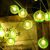 3m Lemon Slice USB Plug Romantic LED String Holiday Light, 20 LEDs Teenage Style Warm Fairy Decorative Lamp for Christmas, Wedding, Bedroom (Green)