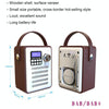 DAB-H6 Portable Multifunctional DAB Digital Radio, Support Bluetooth, TF Card, U Disk, MP3