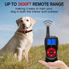 Dog Training Collar, 2 Dogs, 800m Remote, IPX7 Waterproof (Orange)