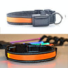 USB Rechargeable LED Dog Collar, Orange, S (35-40cm)