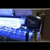 Auto Fish Feeder, Digital LCD Timer, 50-100g, AF-2005D