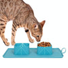 Portable Collapsible Silicone Pet Bowl with Bag (Green)