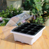 Seedling Tray Sprout Plate 12 Holes Nursery Pots Tray Lids Box For Gardening Bonsai Mini Greenhouse Nursery Plate(White)