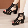 Women Chunky Heel Sandals Anti-slip Fish Mouth High Heels Soft Bottom Open Toe Sandals, Size: 38(Black)
