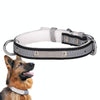Reflective Velvet Dog Collar, Black, Medium (CL181K)