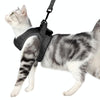 Cat Leash Pet Chest Harness Leash, Size: L(Grey)