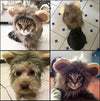 Lion Mane Cat Costume, Black, 26cm Head, Small Dog/Cat