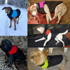 Waterproof Dog Vest, Blue, 4XL - Winter Coat for Chihuahuas & Small Breeds