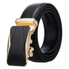 Dandali Casual Men Automatic Buckle Belt Business Soft Leather Pants Band, Length (cm): 125cm(ZD-35)