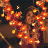 3m 20 LEDs Maple Pumpkin Lantern String Lights Halloween Thanksgiving Garden Party Room Decoration Lights(Warm Light)