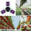 LED Plant Lamp Full Spectroscopy Red And Blue Fill Light Plant Growth Lamp, Power: E27 240 Beads