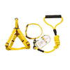 Dog Collar, Harness & Leash Set, Yellow, M (15kg, 43-67cm Chest)