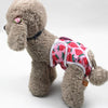 XL Dog Sanitary Pants, Strawberry Print - Reusable & Washable