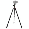 Triopo MT-2804C Adjustable Portable Aluminum Tripod with NB-2S Ball Head for Canon Nikon Sony DSLR Camera(Black)