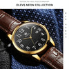 OLEVS 5566 Men Simple Single Calendar Waterproof Quartz Watch(Black)