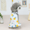 Yellow XL Dog/Cat Bayberry Dress - Pet Clothes