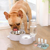 Automatic Pet Feeder Waterer Bowl, Grey, Cat & Dog