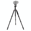 Triopo MT-2505C Adjustable Portable Aluminum Tripod (Gold) with NB-1S Ball Head (Black) for Canon Nikon Sony DSLR Camera