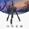 Fotopro F5 4-Section Quick Unlock Tripod Monopod with Ball Head (Black)