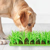 Slow Feeder Dog & Cat Lick Mat - Green - Non-Slip Silicone