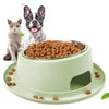 Non-Slip Stainless Steel Cat & Dog Bowl, Green