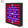 LED Plant Light Quantum Board Greenhouse Seedling Plant Growth Supplementary Light Full Spectrum Plant Planting Light, Power: 81 Beads US Plug
