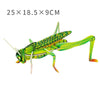 Children Insects Cognition DIY 3D Puzzle KT Board Handmade Simulation Animal Model Toys, Model: Locust