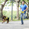 Lovoyager Dog Treat Training Bag, Yellow, Waist Bag with Poop Bag Dispenser