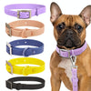 Small Yellow PVC Waterproof Dog Collar - Durable & Easy Clean