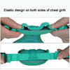 Reflective Dog & Cat Harness Vest with Lead, XL Blue - Breathable & Adjustable
