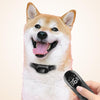 Waterproof Dog Training Collar with Remote - Black (One Dog)