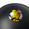 3D Mirascopel Visual Illusion Box Optical Holographic Projection Physical Imaging Educational Science Toys(Frog)