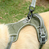 Reflective Bungee Dog Lead with Car Safety Buckle (Yellow)