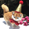 Christmas Pet Hat & Bow Tie Set - Sequined, Cats/Small Dogs