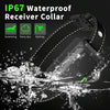 Dragon Two Dog Training Collar - 1600ft Range, Rechargeable, Waterproof (Black)