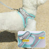 Breathable Mesh Dog Harness with Leash (Blue, M) - Summer Vest Style