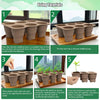 6 Holes Nursery Box Small Vegetable Flower Plant Breathable Growing Tray Silicone Folding Nursery Pot(Skin Color)