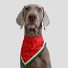 Waterproof Watermelon Dog Scarf, L (30-50cm Neck)