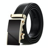 Dandali Casual Men Automatic Buckle Belt Business Soft Leather Pants Band, Length (cm): 120cm(ZD-29)